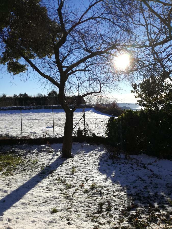 Casale Cadeloro Lejlighed Nebbiuno Eksteriør billede